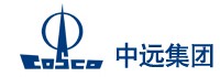 中国远洋运输(集团)公司