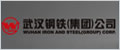 武汉钢铁集团公司